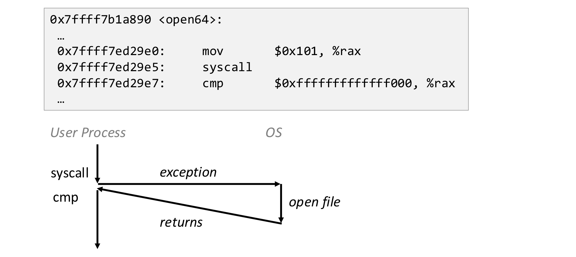 image-20251117141135614