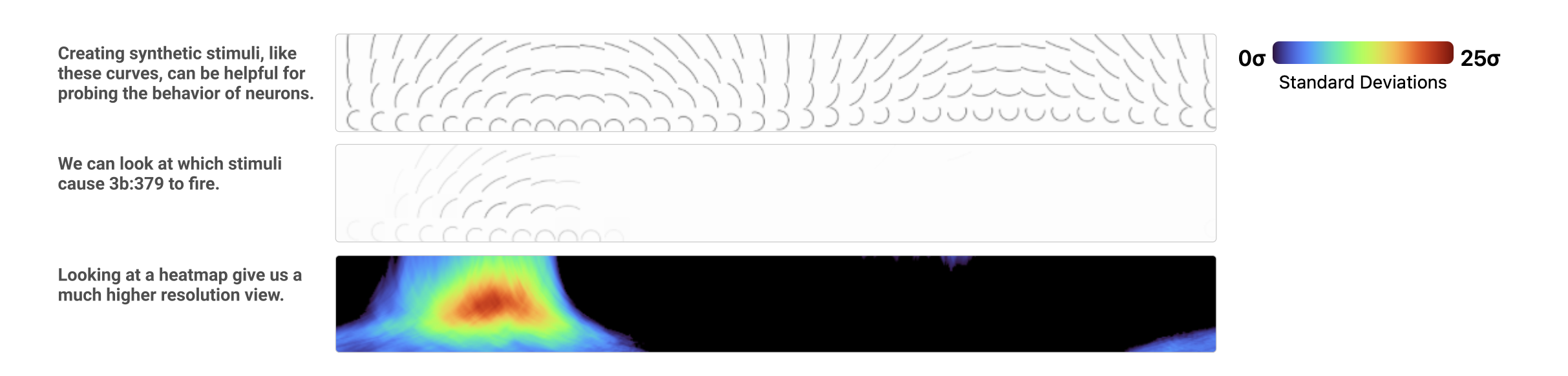 image-20260129182352796